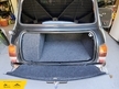 Rover Mini