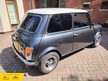 Rover Mini