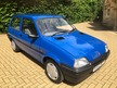 Rover 100