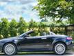 Alfa Romeo Spider