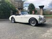 Austin Healey