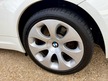 BMW 6 SERIES