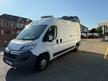 Citroen Relay